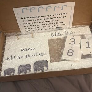 Pregnancy Countdown Ultrasound Picture Frame (NWT)